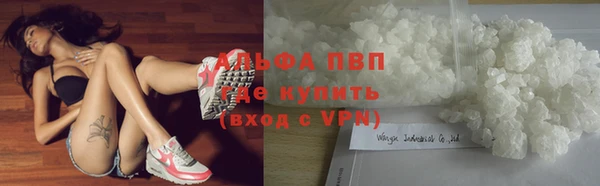 индика Михайловка