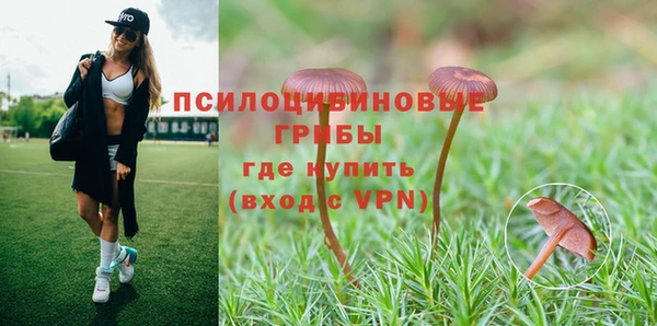 мет Надым