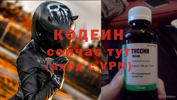 индика Михайловка