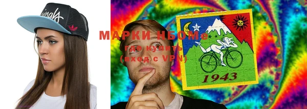 индика Михайловка