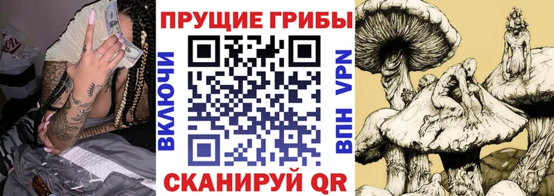 Галлюциногенные грибы прущие грибы Навашино