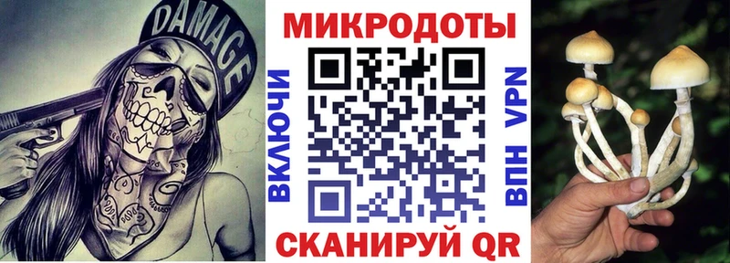 ОМГ ОМГ вход Навашино Галлюциногенные грибы GOLDEN TEACHER